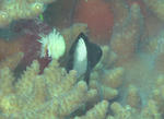 futasuji0930.JPG