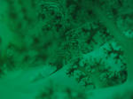 IMG_8259s.jpg