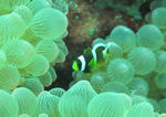 IMG_8360s.jpg