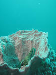 IMG_8460s.jpg