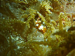 P1010788s.jpg