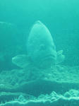 IMG_8587s.jpg
