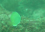 IMG_8614a.jpg