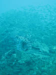 IMG_8670s.jpg