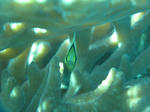 misujityou1024.jpg