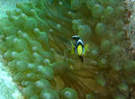 DSCF7399s.jpg