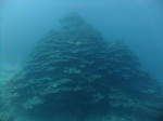 DSCF7418s.jpg