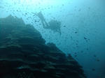 DSCF7426s.jpg