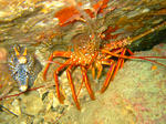 DSCF5884s.jpg