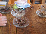 IMG_9288.JPGs.JPG