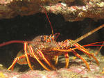 IMG_4460s.jpg