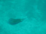 IMG_9750s.jpg