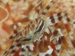 IMG_9935s.jpg