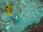 IMG_9950s.jpg