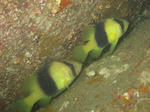 kihassoku1124.jpg