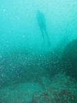 sukaten1206.jpg