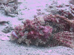 IMG_1022s.jpg