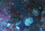 IMG_1303s.jpg