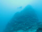 IMG_1354s.jpg