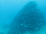 IMG_1389s.jpg