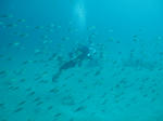 IMG_1827s.jpg