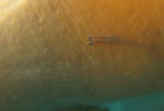 IMG_1961s.jpg