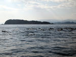 8a5d5617.JPG