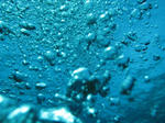 IMG_2317s.jpg