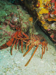 120213ebi.jpg