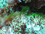 IMG_3123s.jpg