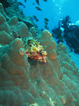 120223kasago.jpg