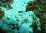 IMG_0791s.jpg