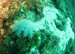IMG_0806s.jpg