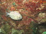 IMG_3601s.jpg