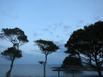 IMG_0960s.jpg