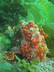 oomon0405.jpg