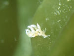 murotomino0405.jpg