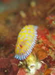 BOBU0408.jpg