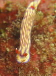 KUTINASI0408.jpg