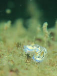 RYUMON0408.jpg