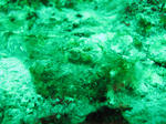 IMG_3790s.jpg
