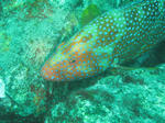 IMG_3810s.jpg