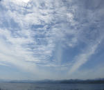 IMG_1043s.jpg