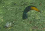 P5040958s.jpg
