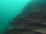 M0016758s.jpg