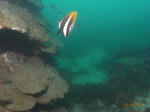 M0016762s.jpg
