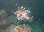M0016784s.jpg
