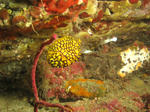 IMG_0402s.jpg