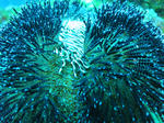 IMG_1441s.jpg