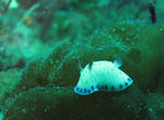 IMG_1460s.jpg